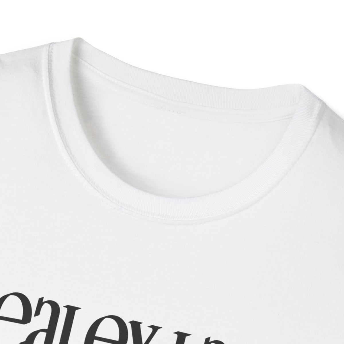 Healey Lake T-Shirt